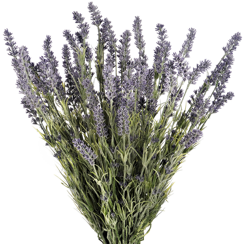 
                      
                        Large Lavender Bush
                      
                    