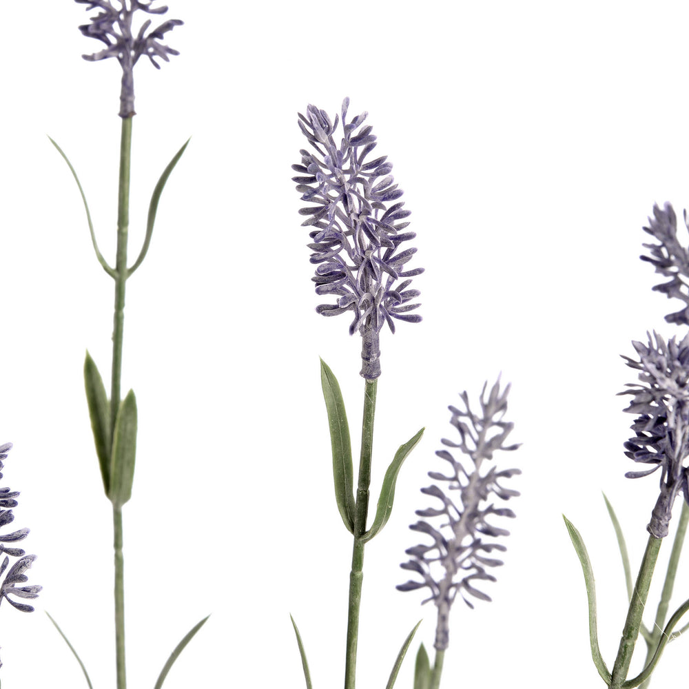 
                      
                        Large Lavender Spray
                      
                    