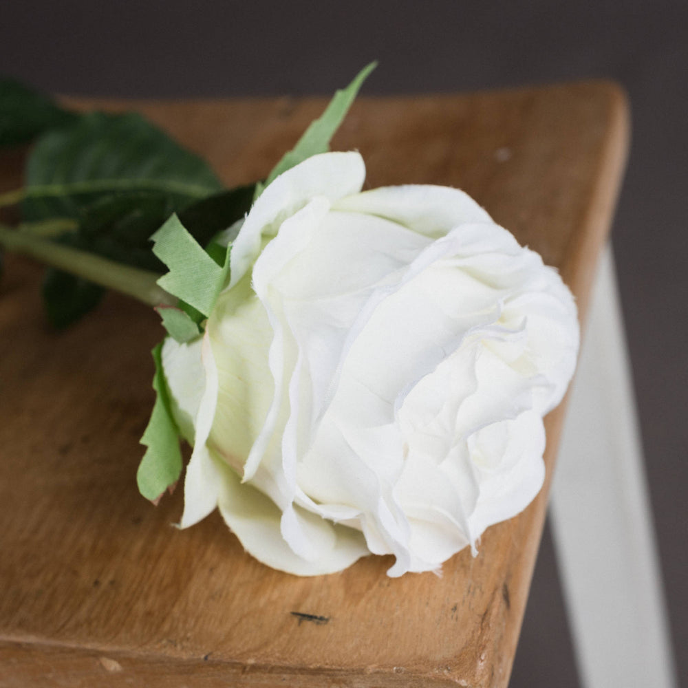 
                      
                        Traditional White Rose
                      
                    