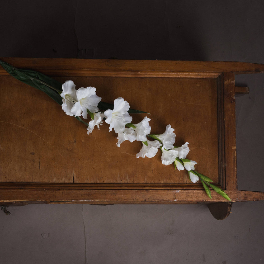 
                      
                        White Gladioli
                      
                    