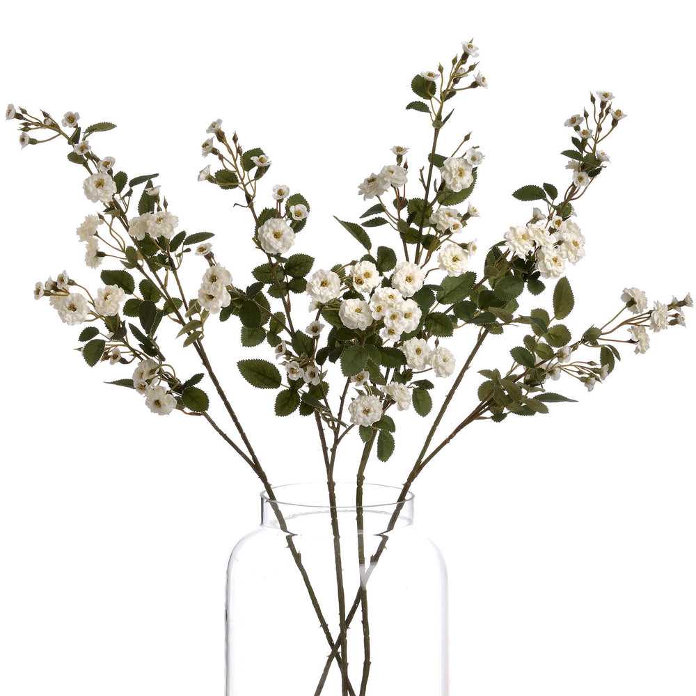 
                      
                        White Wild Meadow Rose
                      
                    