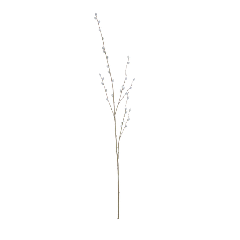 
                      
                        Pussy Willow Branch
                      
                    