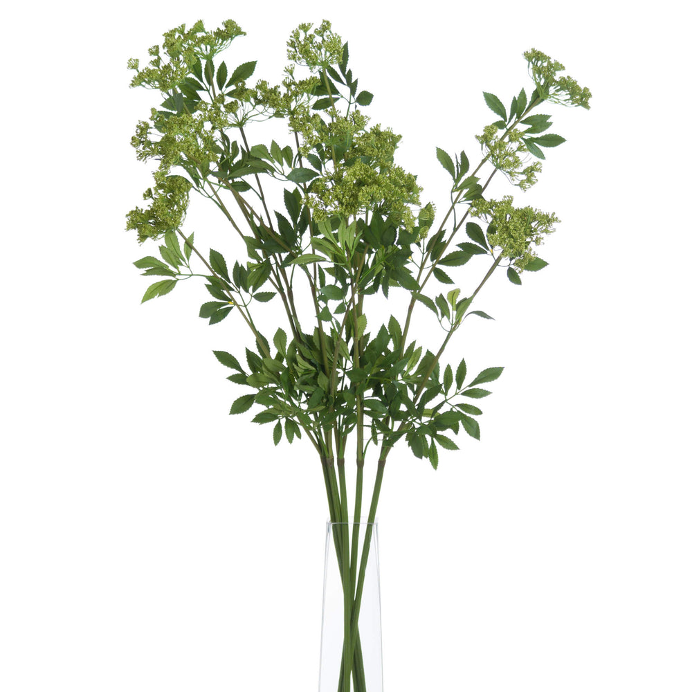 
                      
                        Faux Cow Parsley Ammi
                      
                    