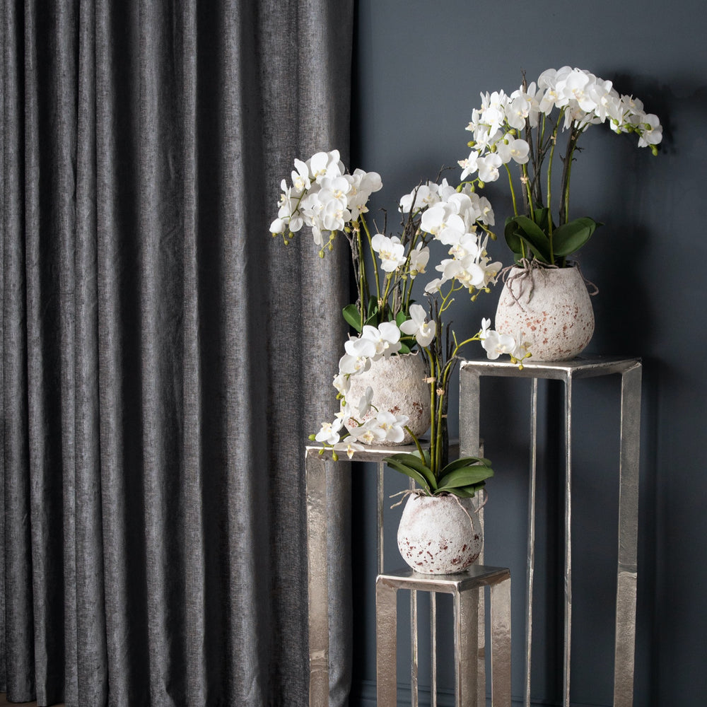 
                      
                        White Orchid In Stone Pot
                      
                    