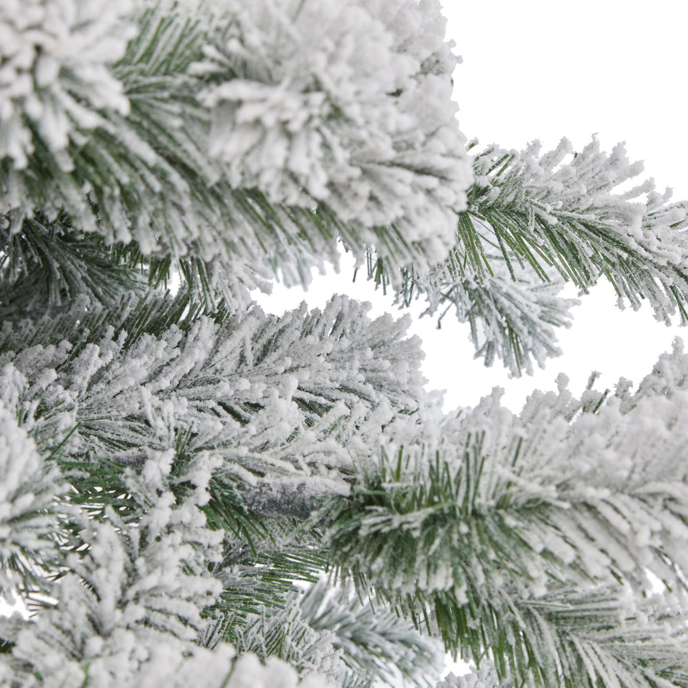 
                      
                        Large Snowy Pine Tree
                      
                    