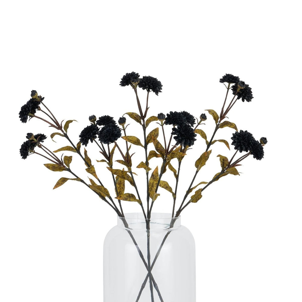 Black Chrysanthemum Stem -