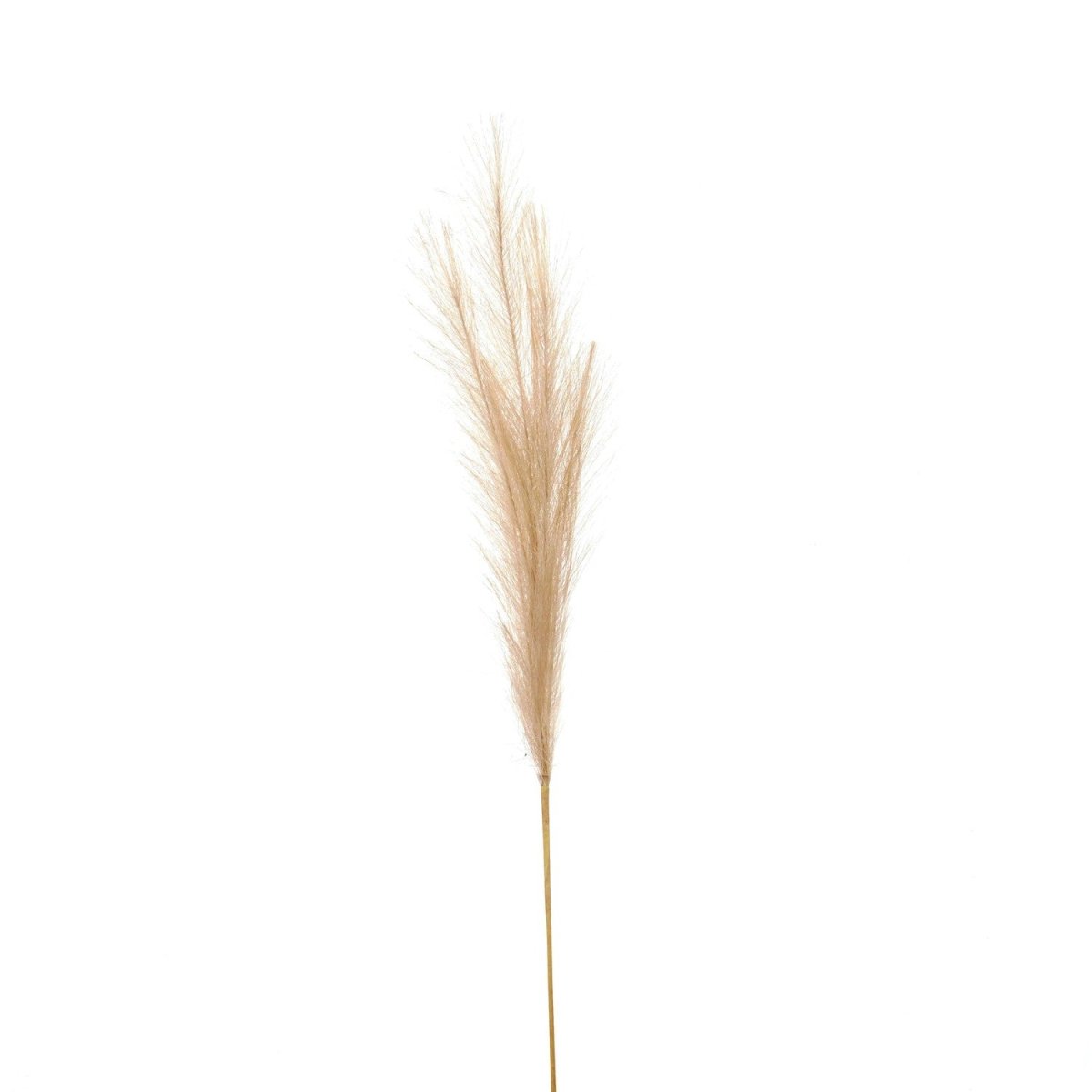 Bleached Faux Pampas Grass Stem -