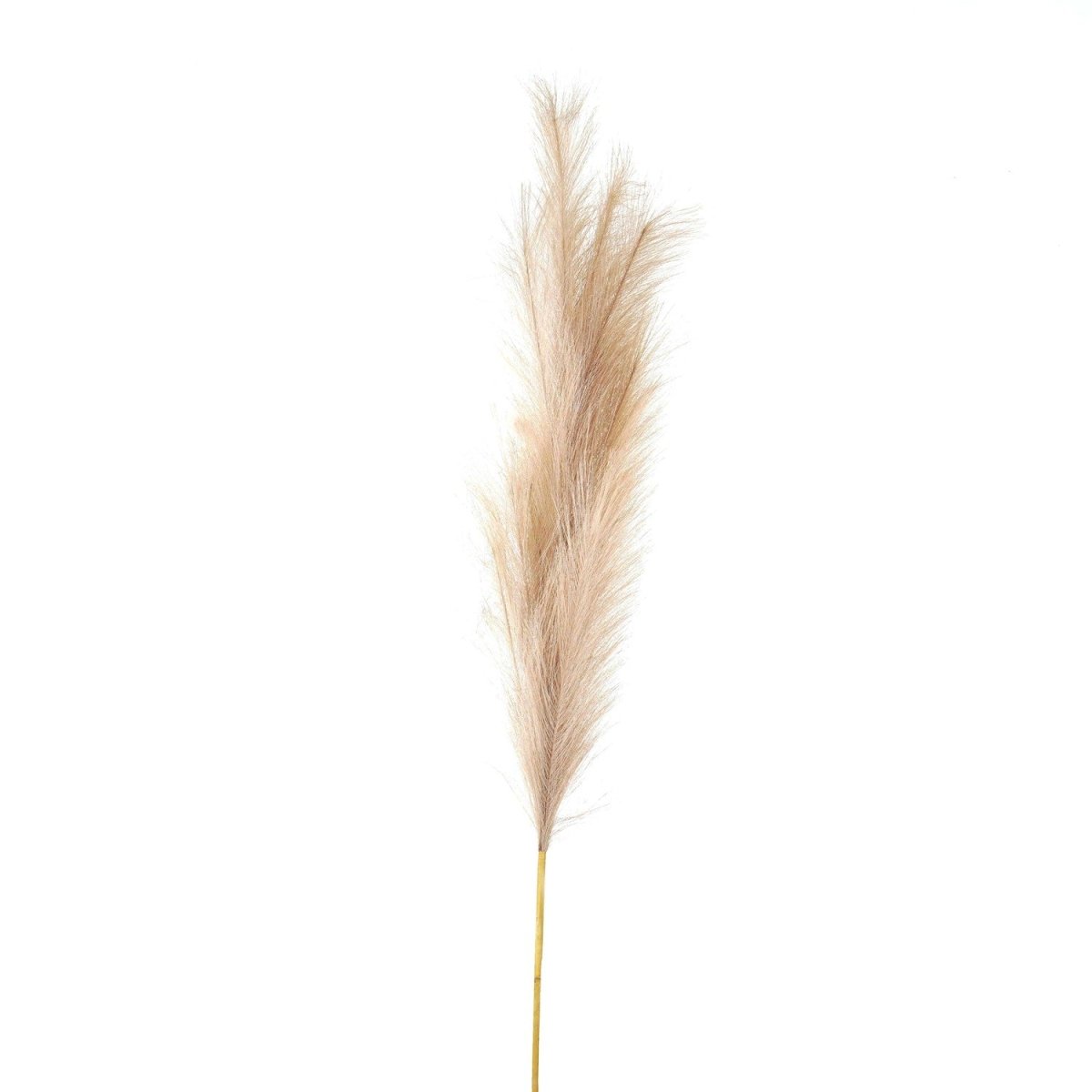 Bleached Large Faux Pampas Grass Stem -