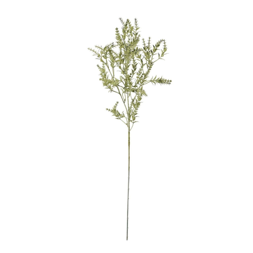 
                      
                        Broom Stem -
                      
                    