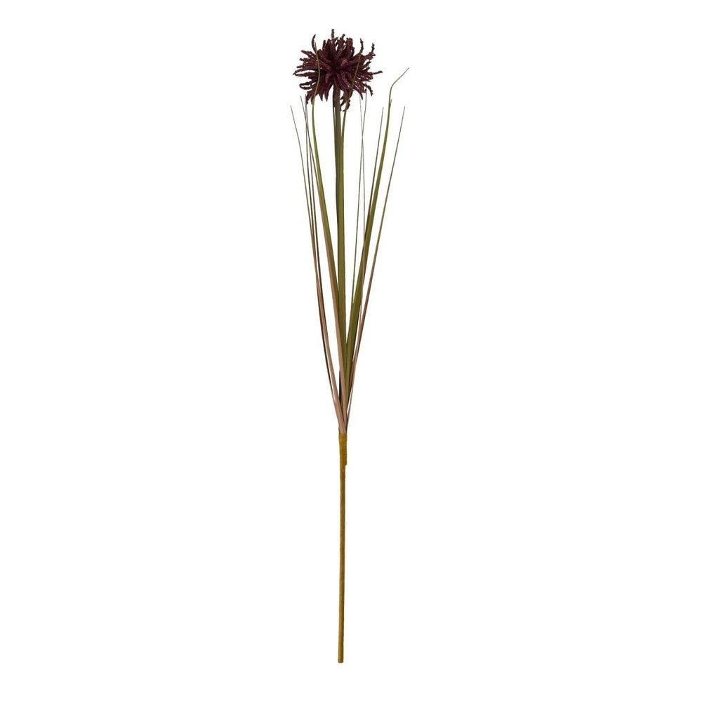 
                      
                        Burgundy Aster Spider Chrysanthemum Stem -
                      
                    