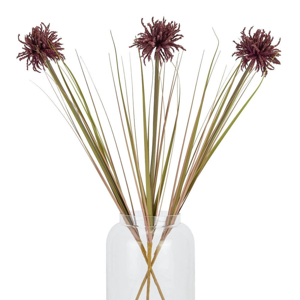 
                      
                        Burgundy Aster Spider Chrysanthemum Stem -
                      
                    