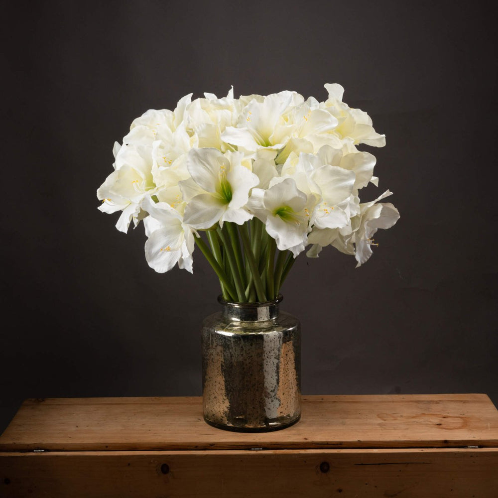 
                      
                        Classic White Amaryllis Flower -
                      
                    