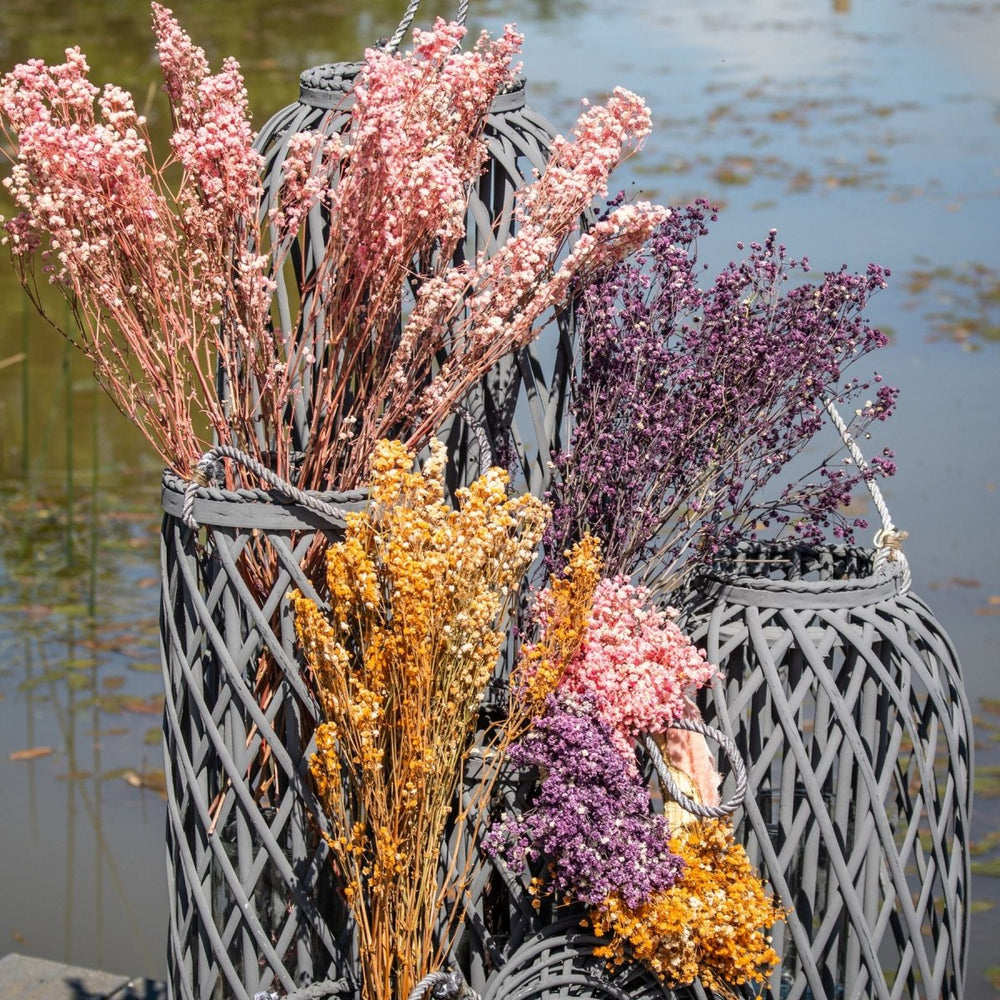 Dried Orange Babys Breath Bunch -