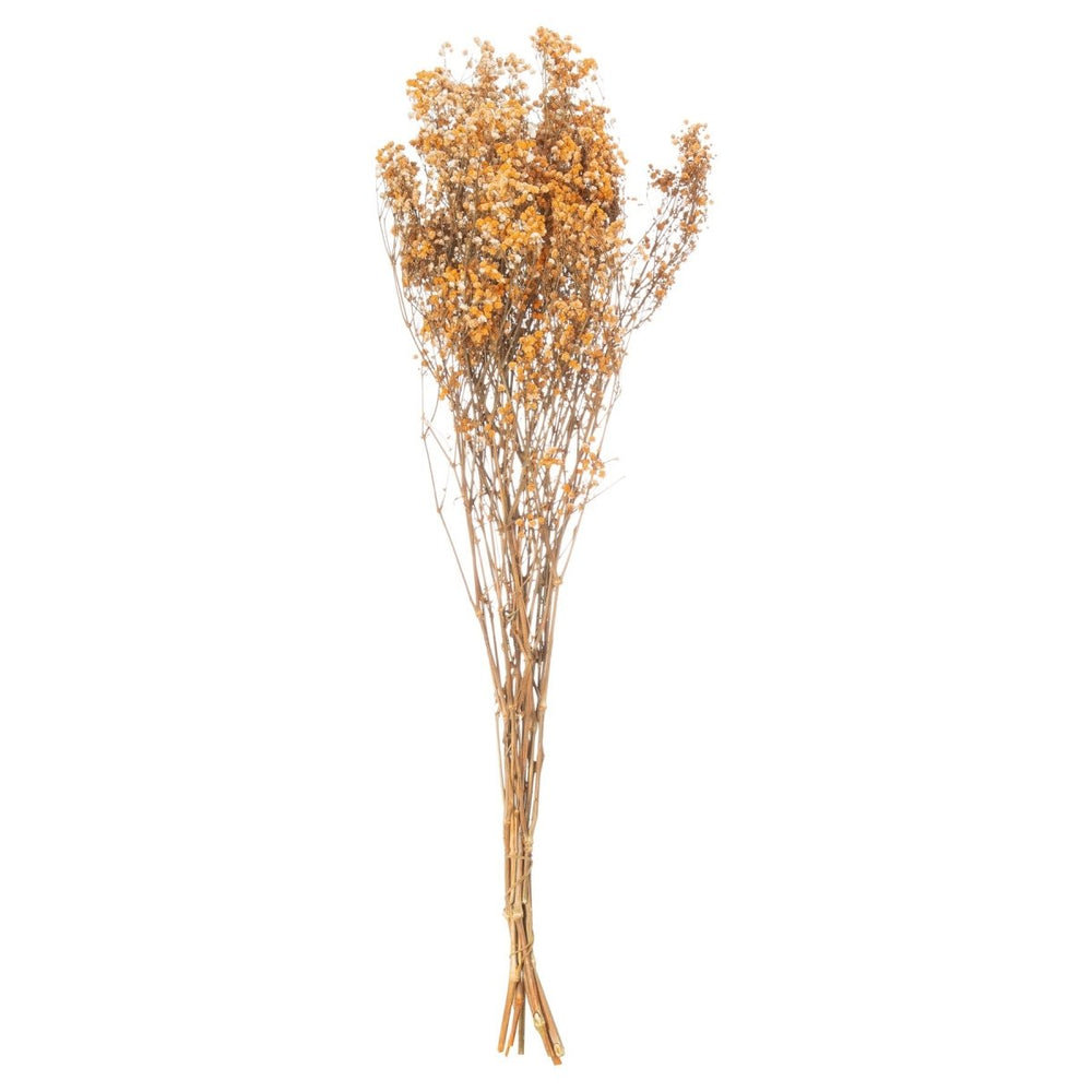 Dried Orange Babys Breath Bunch -