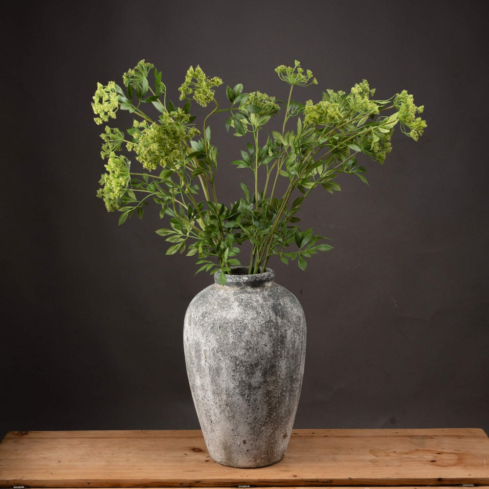 Faux Cow Parsley Ammi -