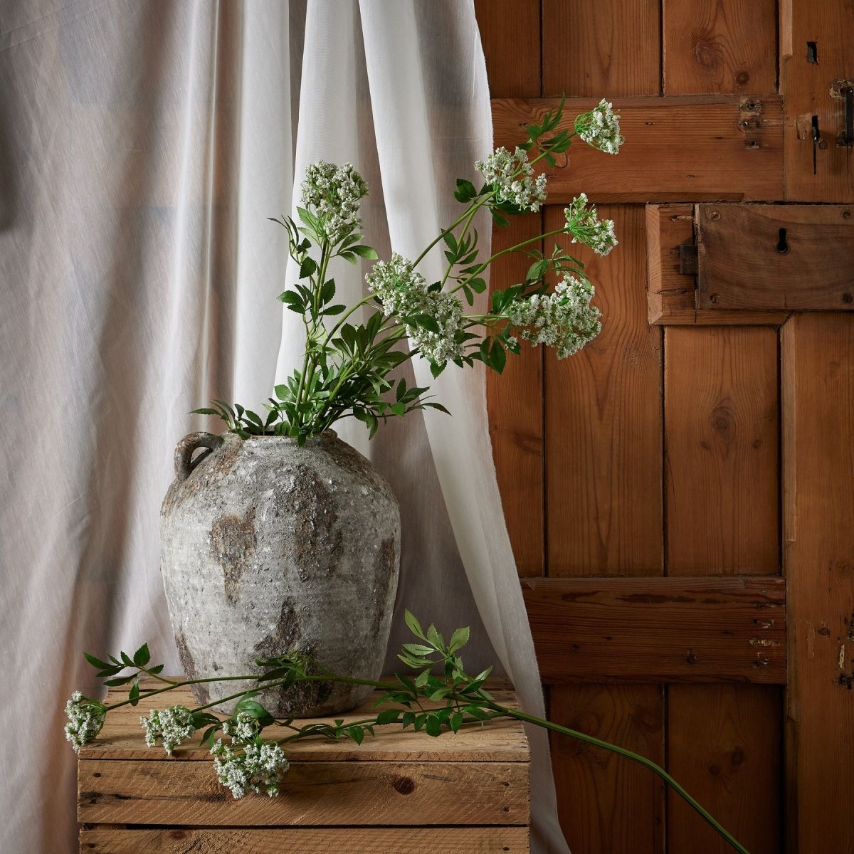 Faux White Cow Parsley Ammi -