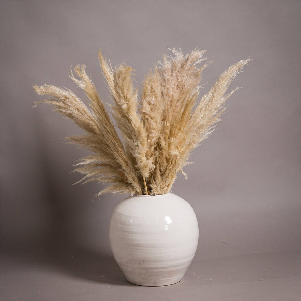 Garda Glazed Large Regola Vase - Home Accents