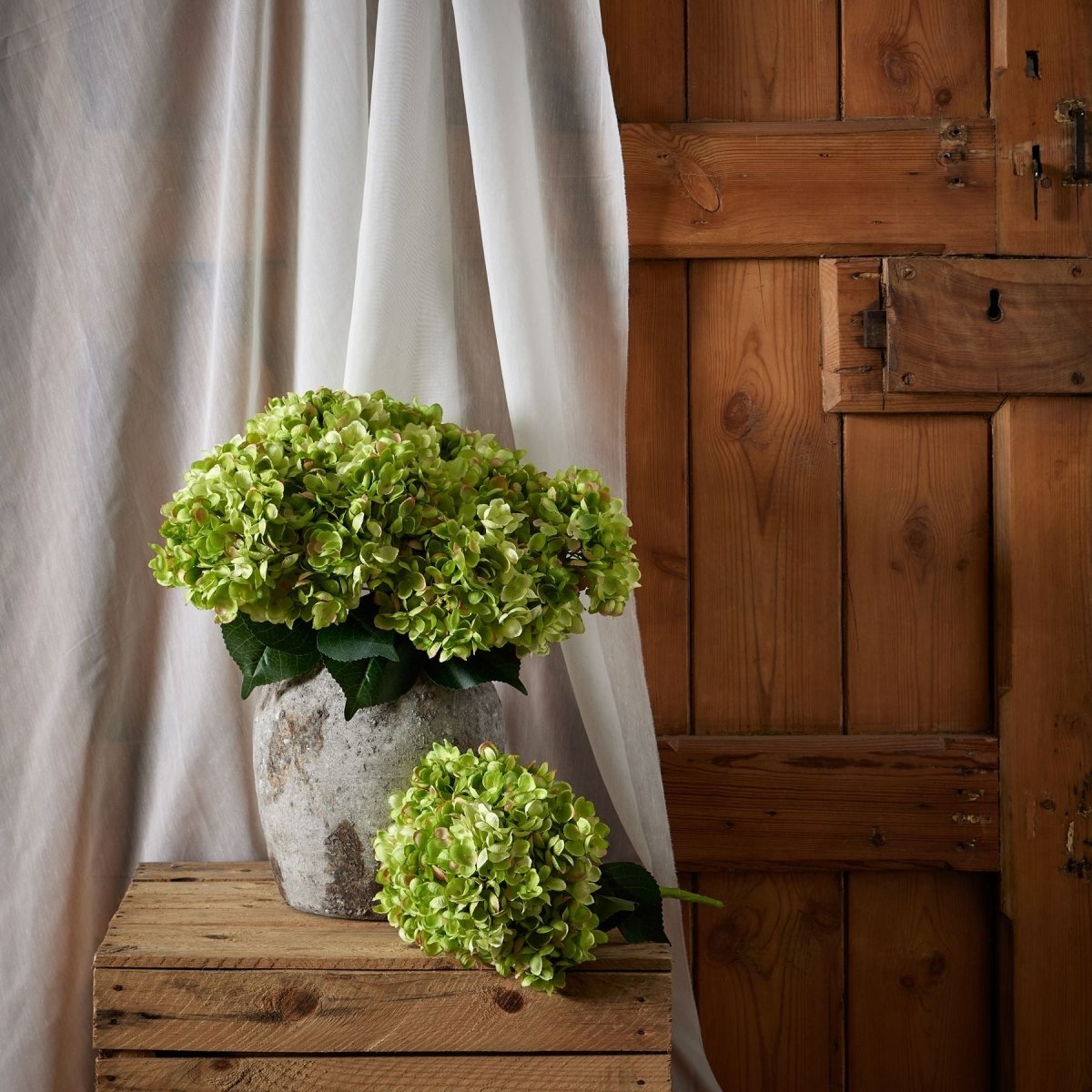 Green Hydrangea Bunch -