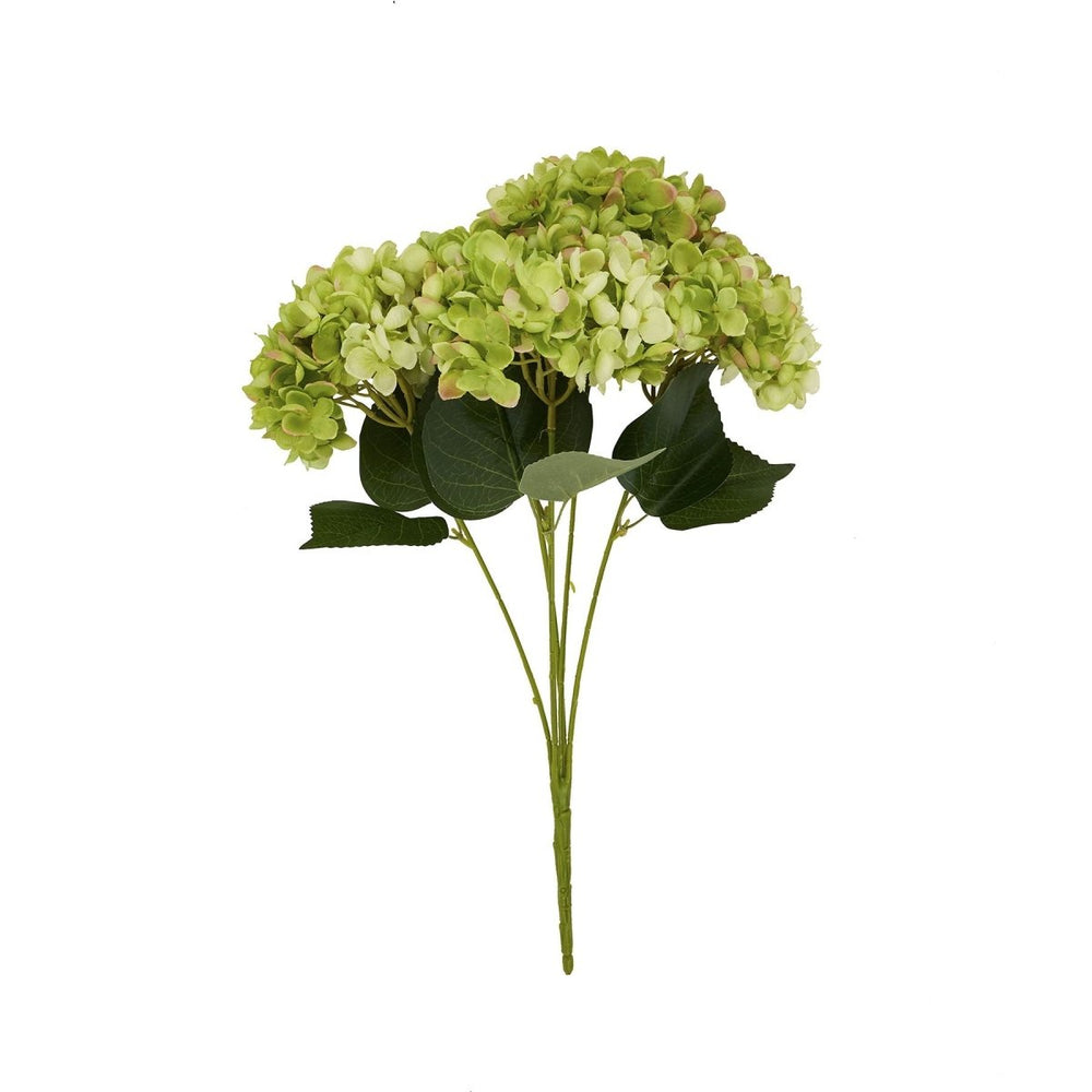 Green Hydrangea Bunch -