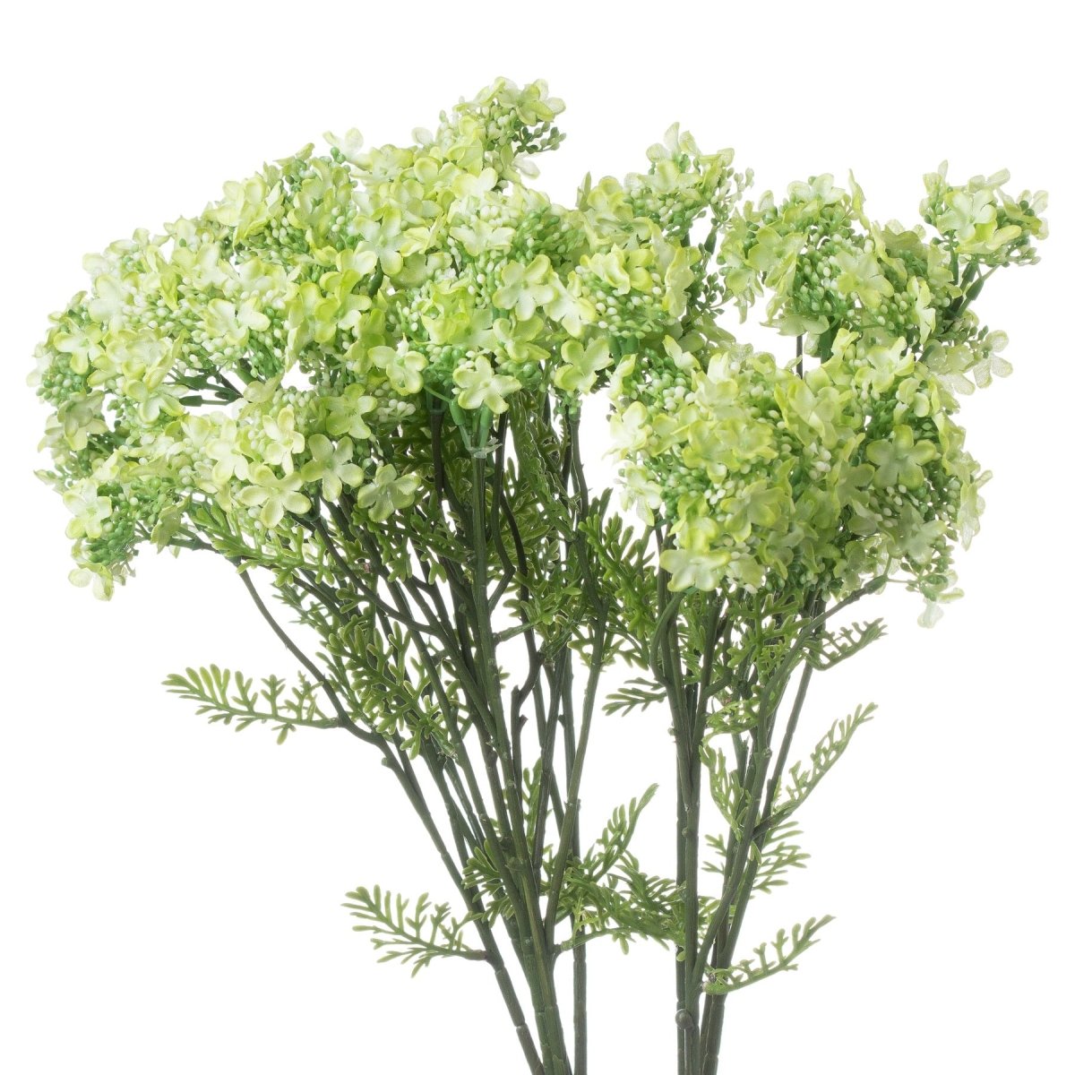 Green Plumb Blossom Spray -