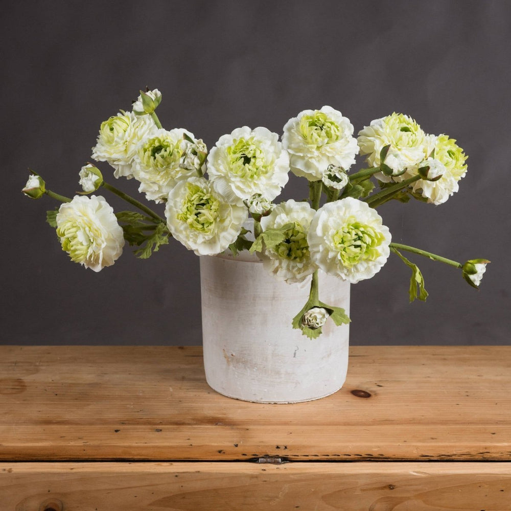 Green Ranunculus Spray -