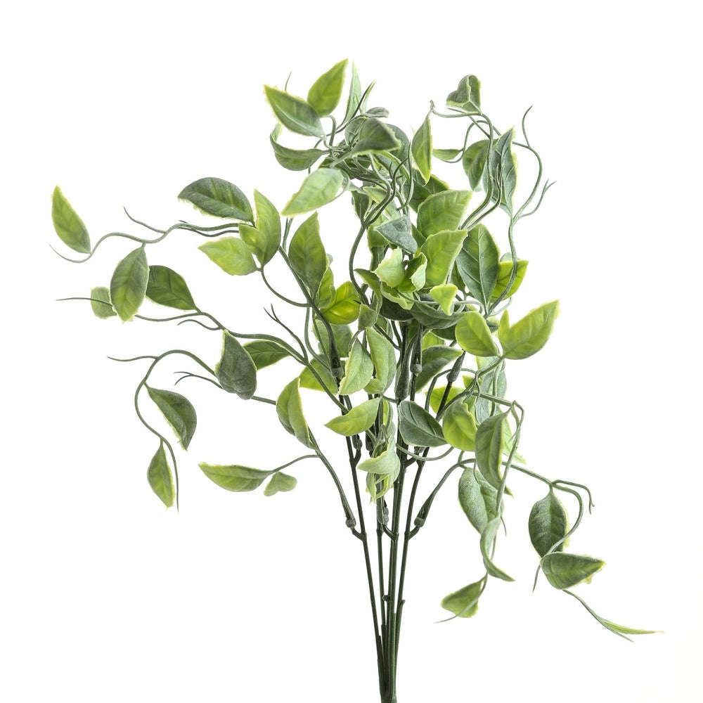 
                      
                        Green Shoots Greenery Bunch -
                      
                    