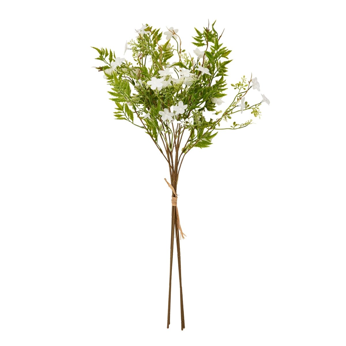 Italian White Bellflower - Home Accents