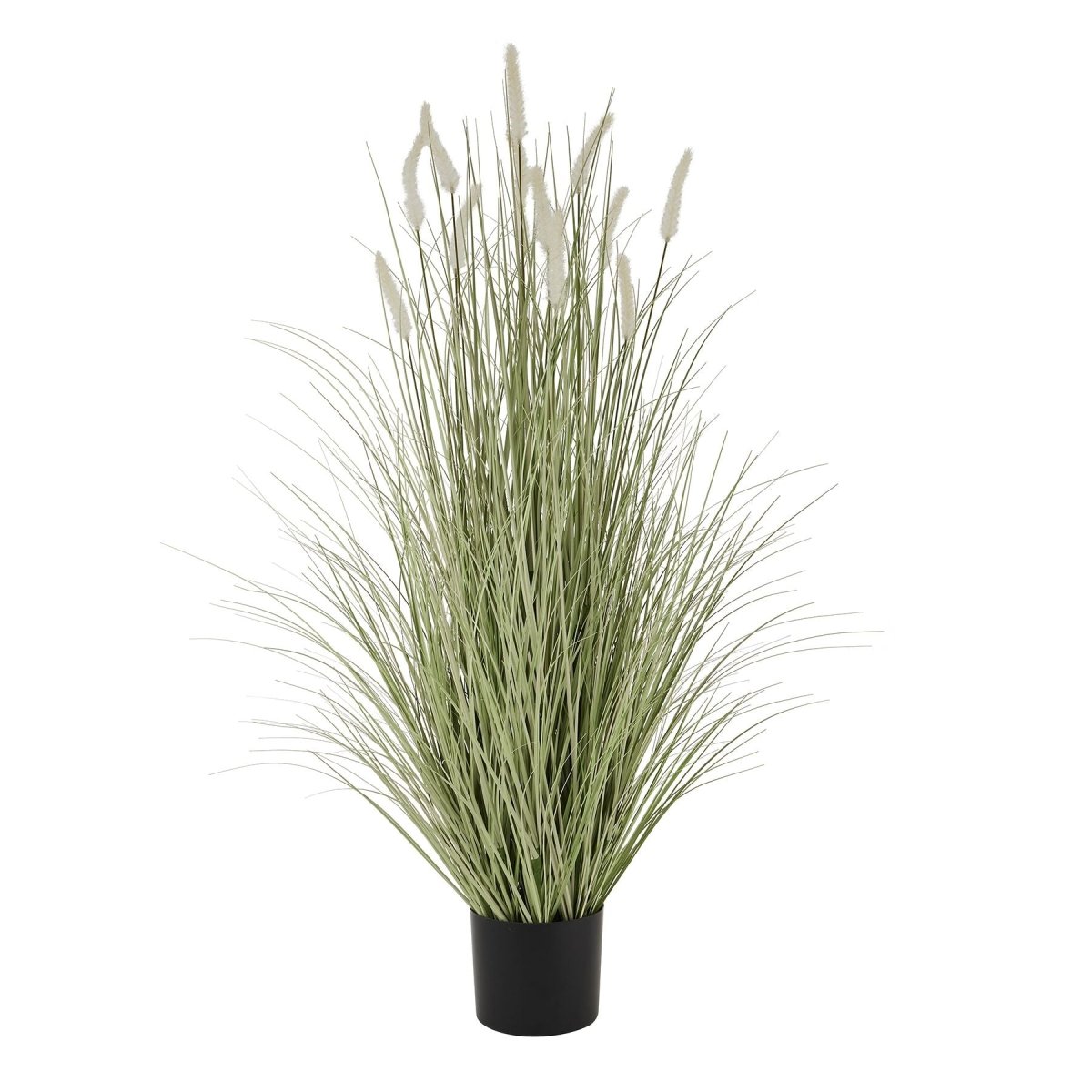 Large Bunny Tail Grass -