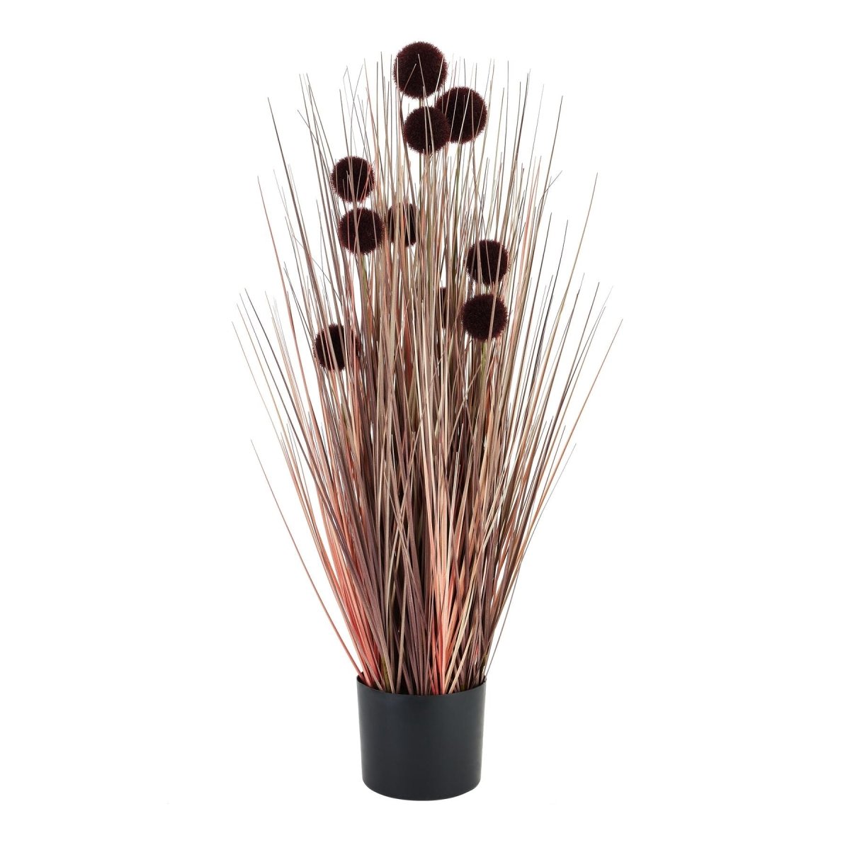 Large Burgundy Pompom Alliums In Black Pot - Home Accents