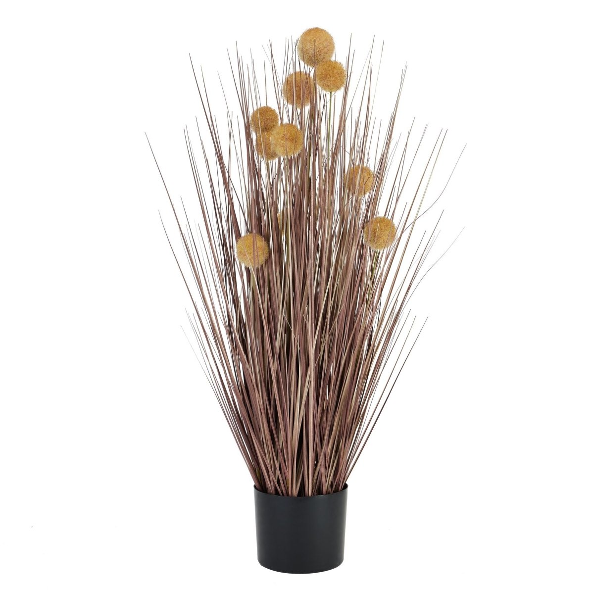 Large Coffee Pompom Alliums In Black Pot - Home Accents