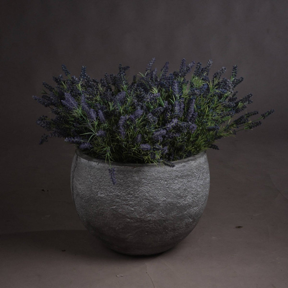 Large Lavender Bush -