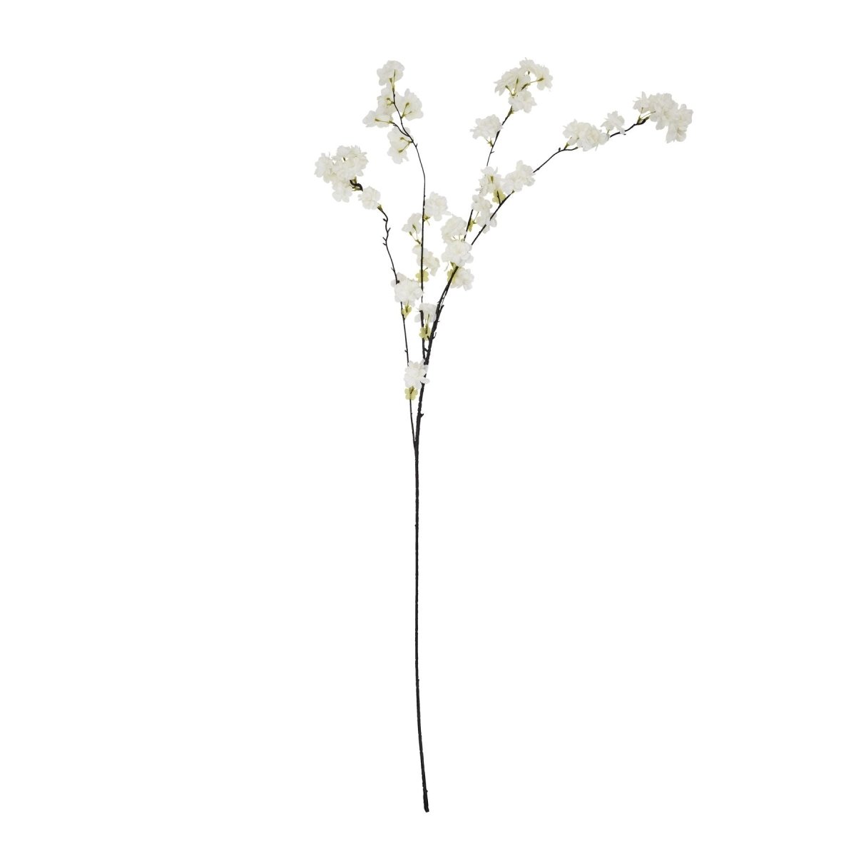 Large White Cherry Blossom Stem - Home Accents