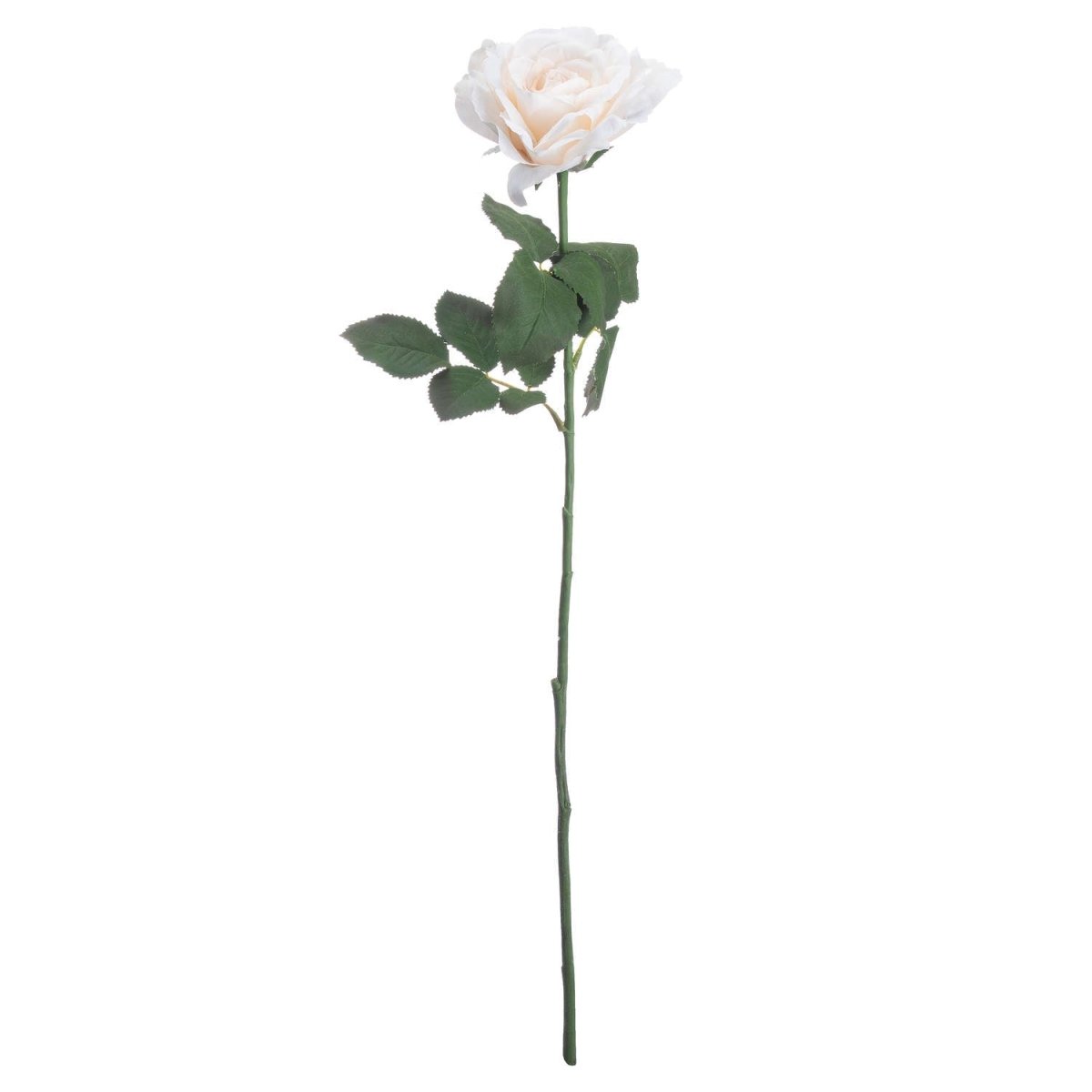 Large White Garden Rose - Home Accents