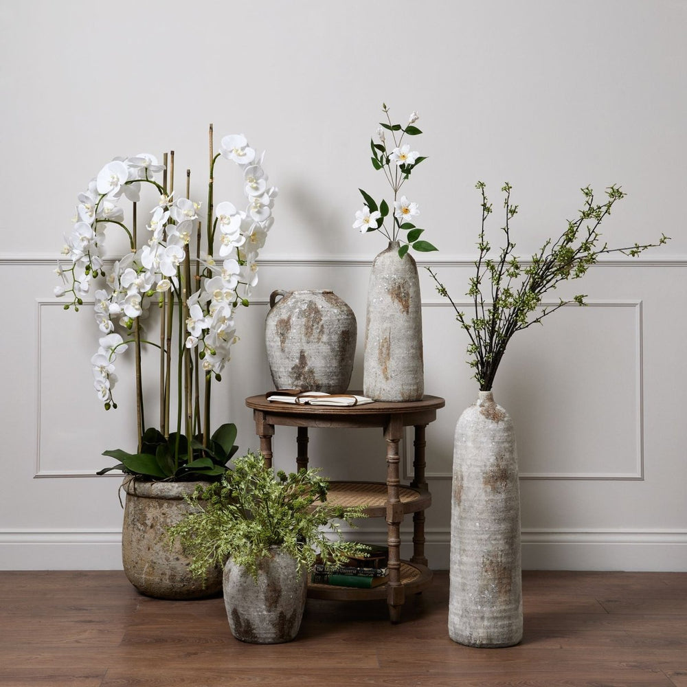 Large White Orchid In Antique Stone Pot -