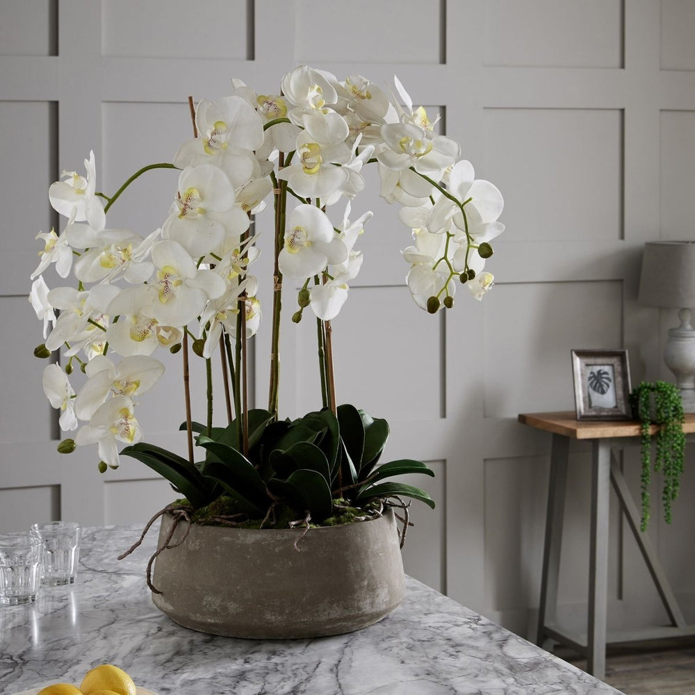 Large White Orchid In Stone Pot - Home Accents