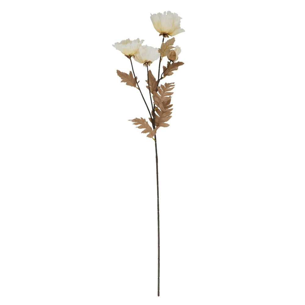 Large White Poppy Stem -