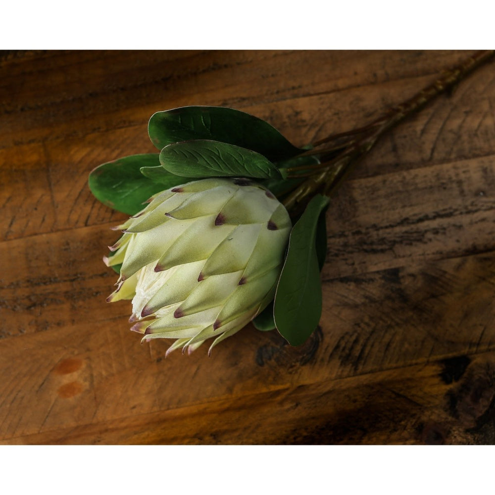 Large White Protea - Home Accents