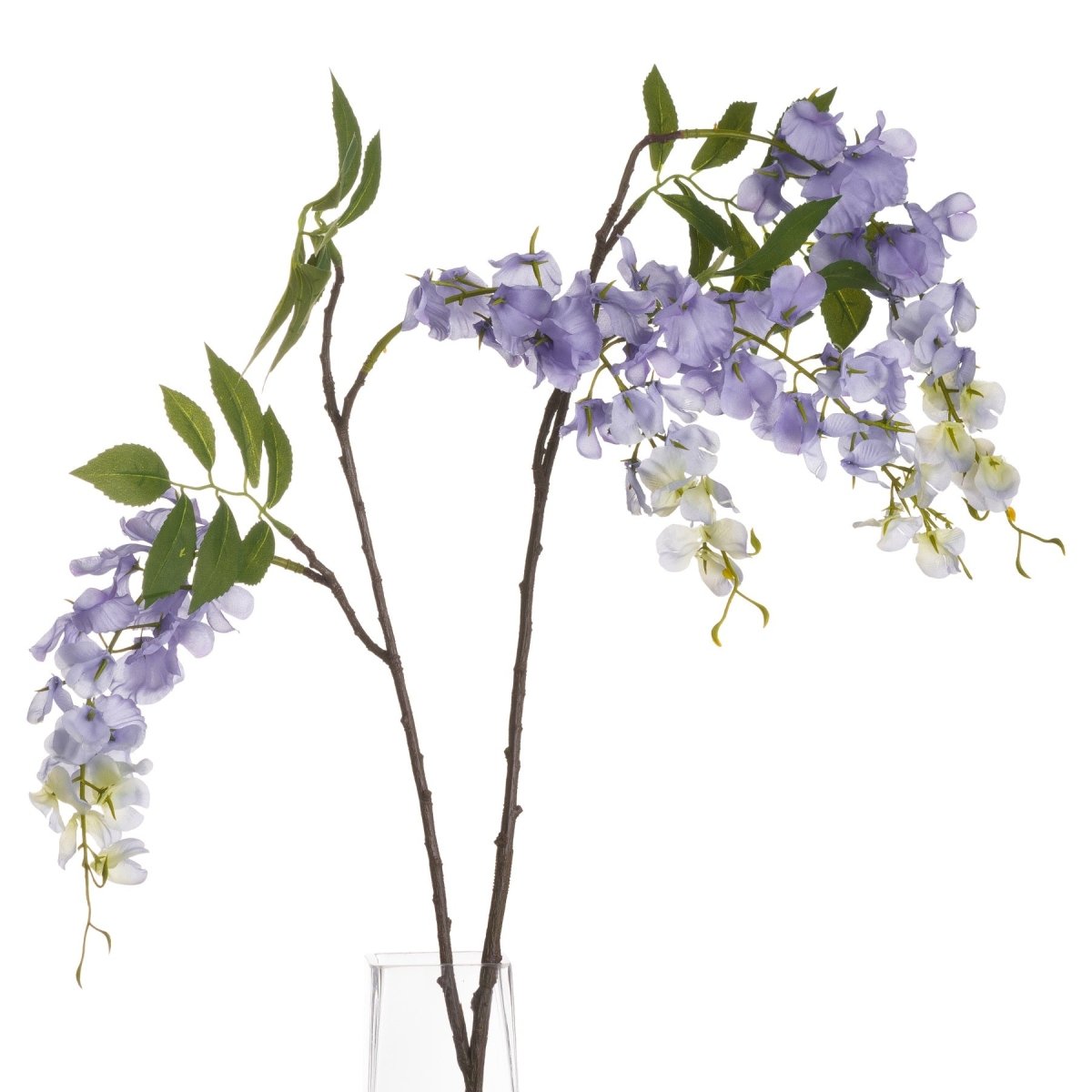 Lilac Wisteria - Home Accents