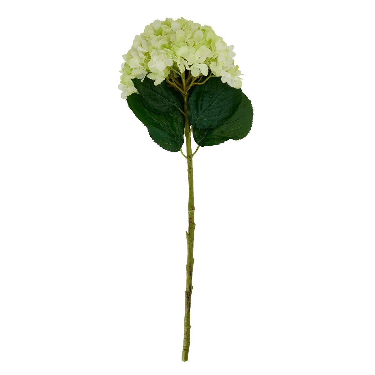 Oversized Green Hydrangea - Home Accents