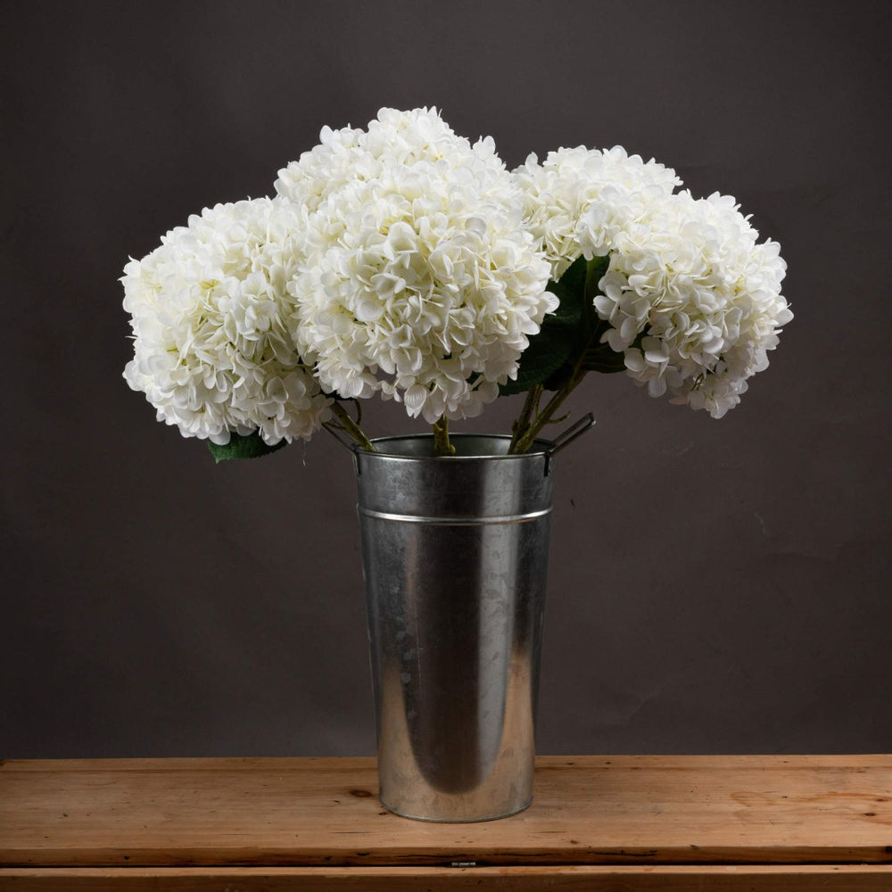 
                      
                        Oversized White Hydrangea -
                      
                    