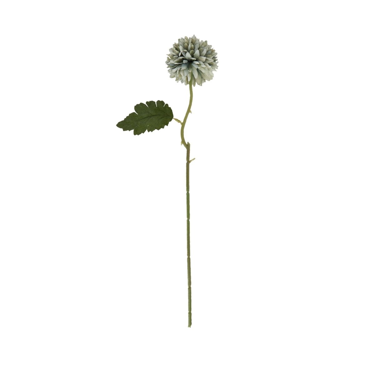 Pale Green Blue Short Chrysanthemum - Home Accents