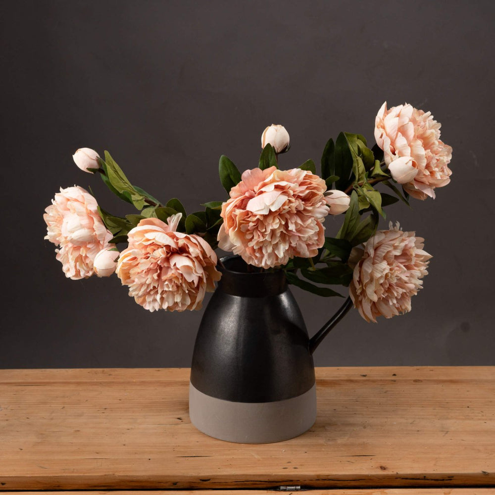 
                      
                        Peach Peony Rose -
                      
                    