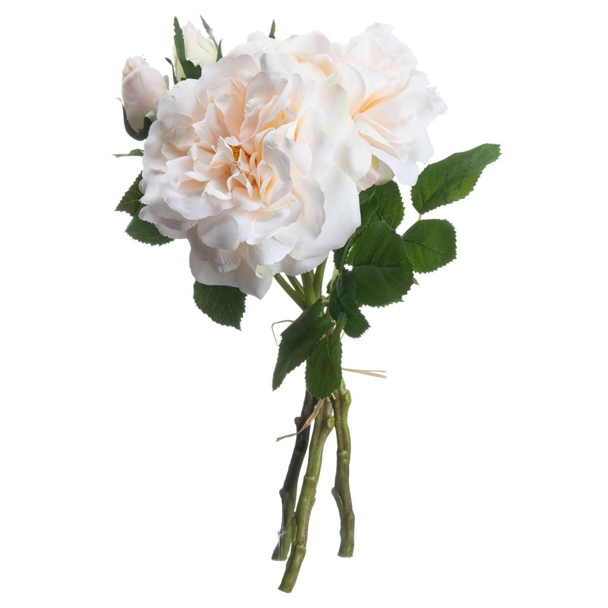 Peachy Cream Short Stem Rose Bouquet - Home Accents