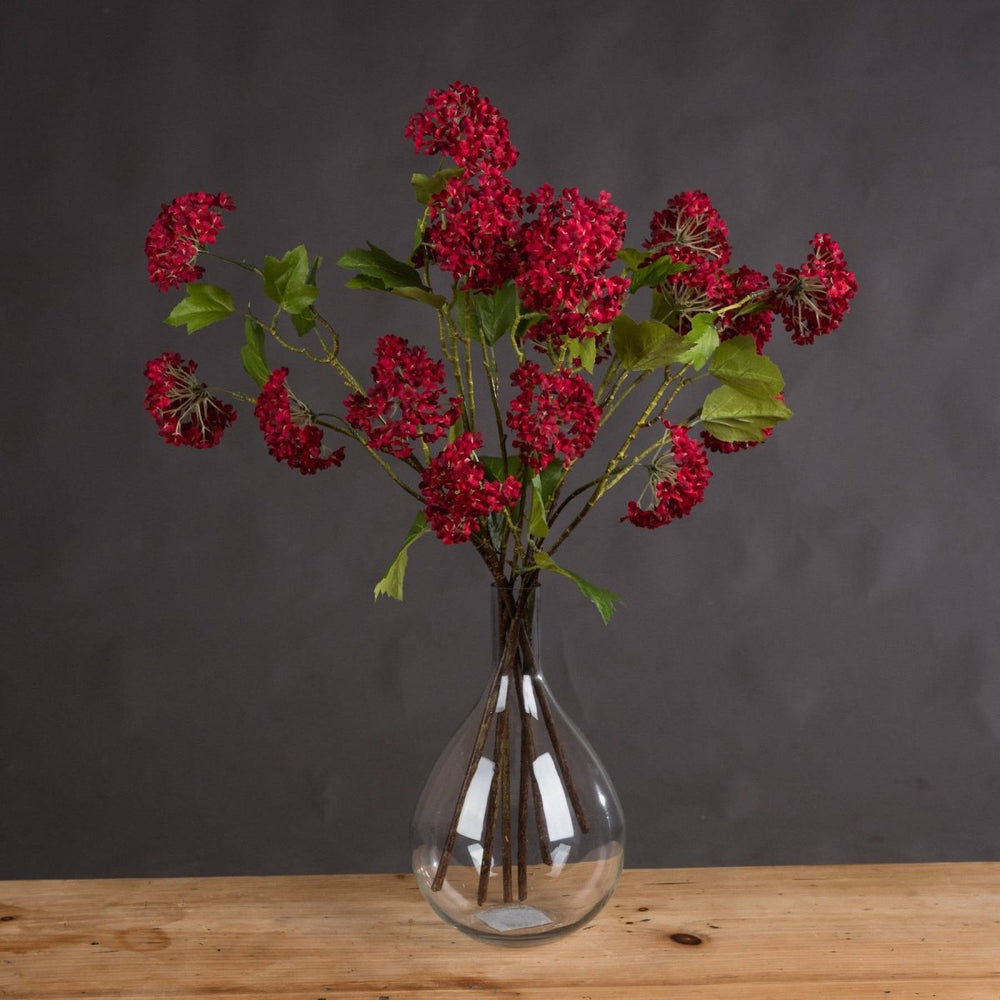 Red Autumnal Viburnum - Home Accents