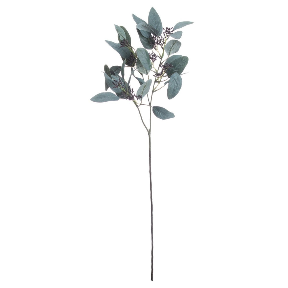 Seeded Eucalyptus Stem - Home Accents