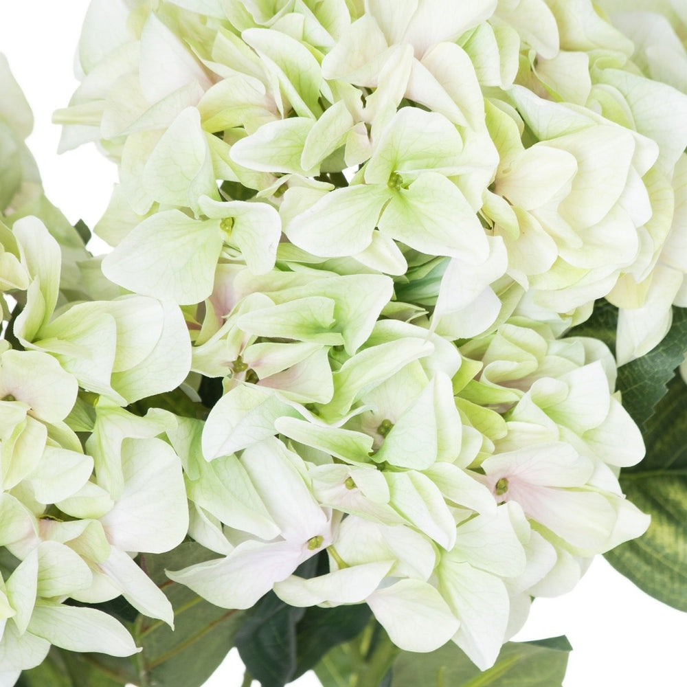 
                      
                        Shabby Green Hydrangea Bouquet - Home Accents
                      
                    