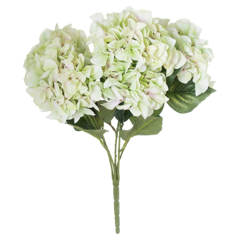 
                      
                        Shabby Green Hydrangea Bouquet - Home Accents
                      
                    