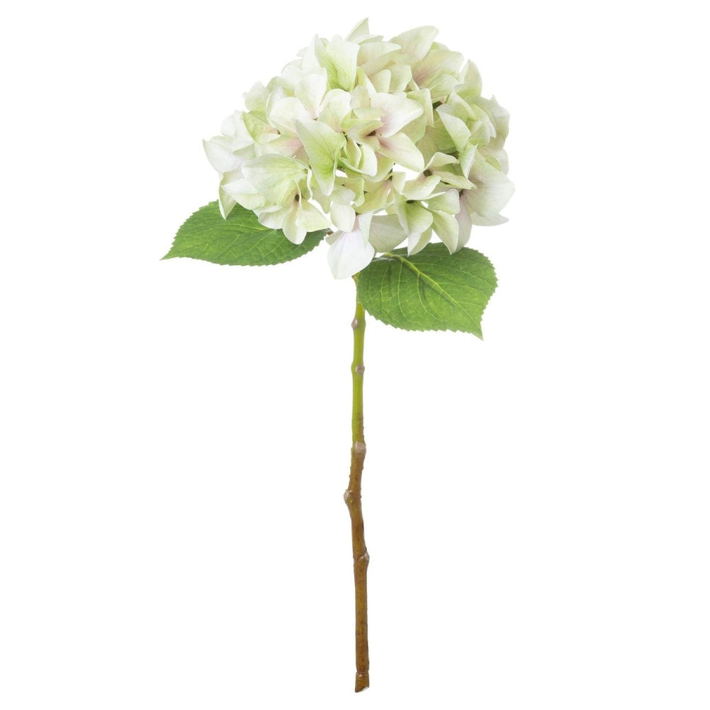 Shabby Green Single Hydrangea - Home Accents