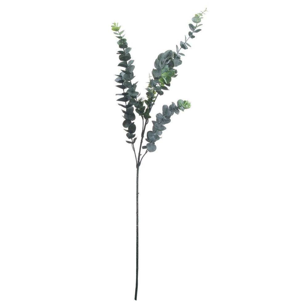 
                      
                        Silver Dollar Eucalyptus - Home Accents
                      
                    