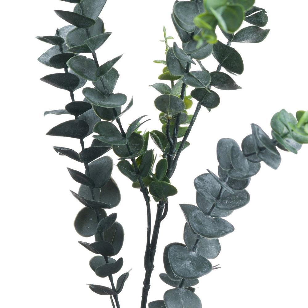 Silver Dollar Eucalyptus - Home Accents